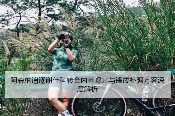 阿森纳追逐谢什科转会内幕曝光与锋线补强方案深度解析